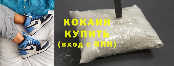 индика Верея