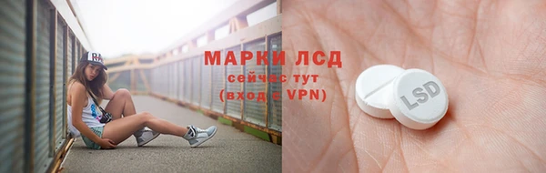 индика Верея