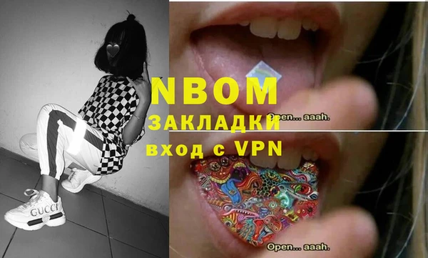 индика Верея